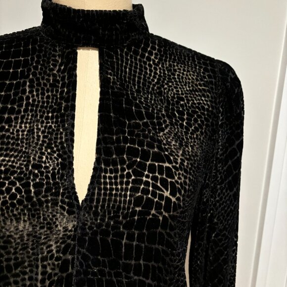 Frame Puff Sleeves Velvet Burnout Blouse - Picture 4 of 9